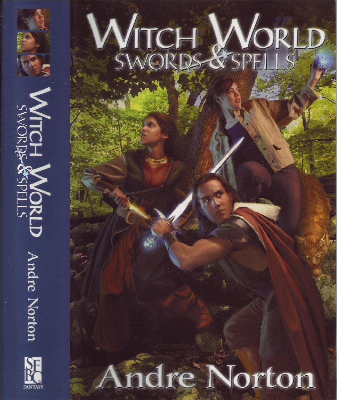 witch world swords and spells sfbc hc